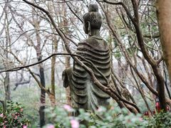 -灵隐飞来峰景区