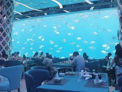 -瑞德姆美人鱼海底演艺主题餐厅(亚龙湾店)