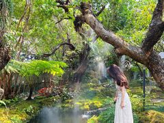 -Chom Cafe and Restaurant