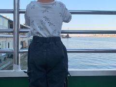 -武汉关码头(轮渡站)