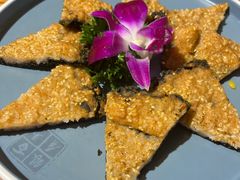 -百年银屏蚝烙·潮汕菜·非遗(乐山店)