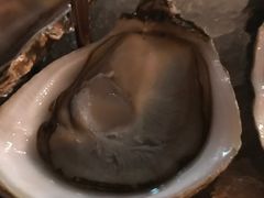 -斯普汇生蚝牛排馆(中骏世界城店)