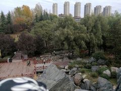 -清凉山国家森林公园