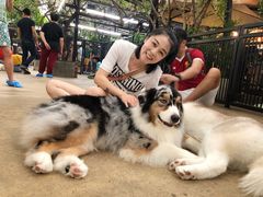 -TrueLove @ Neverland (Husky Cafe)