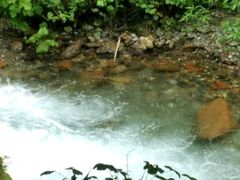 -西岭雪山大飞水景区