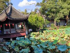 -上海醉白池公园