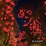 沈阳宝藏小饭馆·超适合约会💑去吃