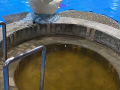 -兴芮温泉度假区