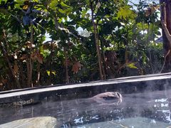 -威海天沐度假区温泉