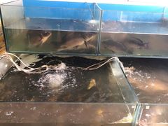 -大鹅岛灶台鱼·铁锅炖(水库路店)