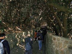 -普陀山慧济禅寺