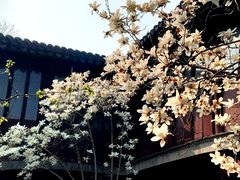 -耦园