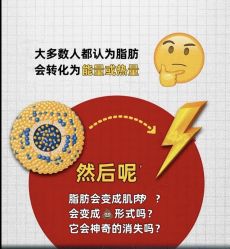 -Fundi张玉珊修身堂·indiba·BTL科技瘦身