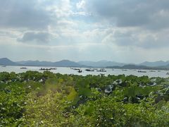 -湖畔居茶楼(湖滨店)