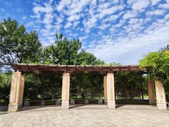 -永定河休闲森林公园