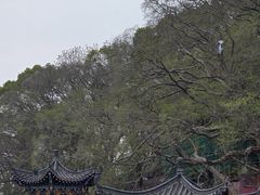 -石钟山
