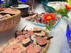鲟鱼-SEA西雅图海鲜自助餐厅(海乐世界店)