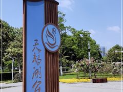 -天鹅湖体育公园