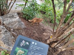 -国家植物园南园