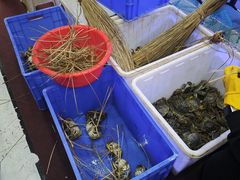 -蟹状元大闸蟹·年货·粽子(成都成华店)