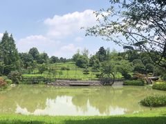 -铁山坪森林公园