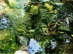 -云岫谷自然风景区