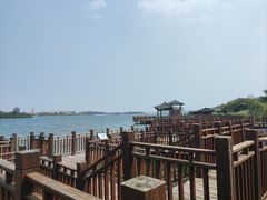 -厦门园林博览苑
