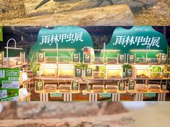 -正佳雨林生态植物园