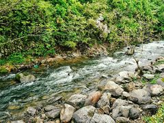 -祁门牯牛降观音堂风景区