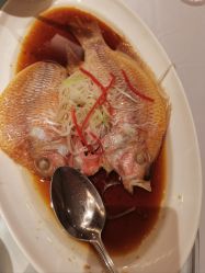 -新锦江大酒店·宴会厅·婚宴