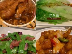 -金鼎轩(亚运村店)
