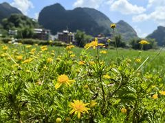 -靖西鹅泉风景区