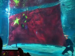 -石家庄海洋公园