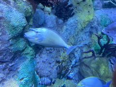 -珠海长隆海洋王国