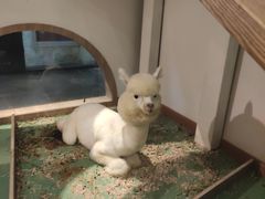 -藦茜花园宠物主题亲子互动体验馆(国顺东路店)