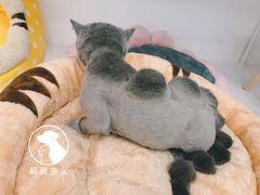 -萌宠主义宠物生活馆(金山路店)