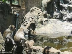 -卡塞拉自然公园