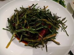 -新吉士·上海菜(浦东LCM置汇旭辉店)