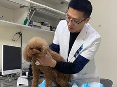 -喜多萌中农锦绣动物医院24H·猫科·牙科MRI·CT