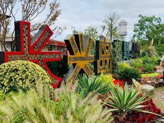 -上海长兴岛郊野公园