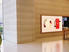 -Apple零售店(济南恒隆广场店)