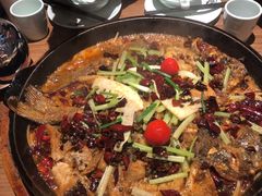 -老板恋上鱼(印象城店)