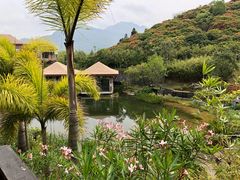 -广州都喜泰丽温泉度假酒店