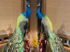 -陈家小院(阜昌路店)