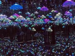 -深圳独角兽星空艺术馆
