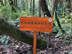 -寂照庵