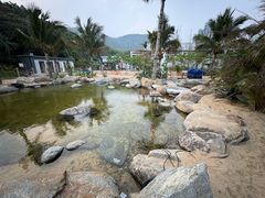 -精酿农场Brew Farm·沙漠绿洲餐厅