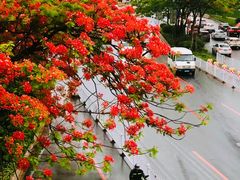 -东山湖公园