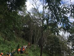 -清迈丛林飞跃 JungleFlight