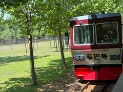 -秦皇岛野生动物园